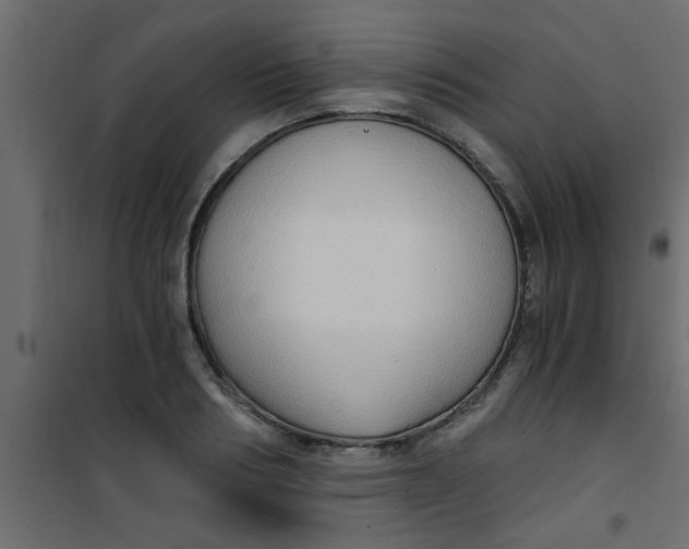 X0000101120986200807171956