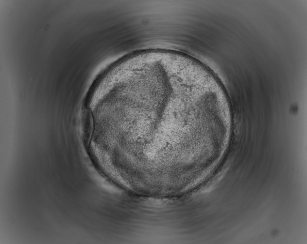 X0000101120987200807171956