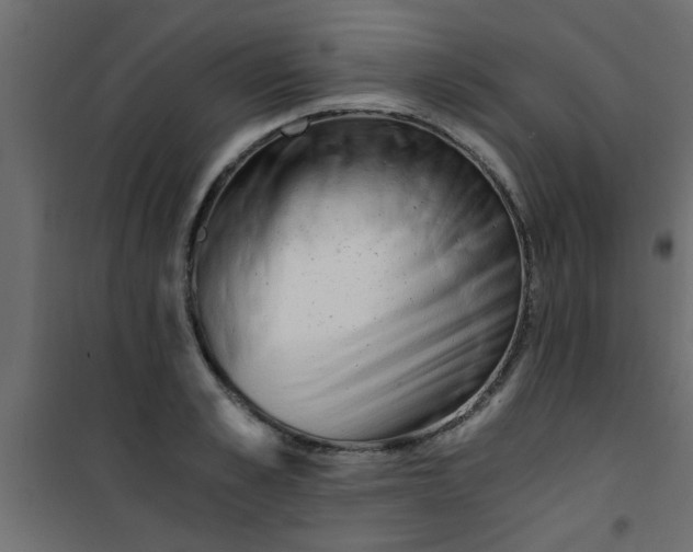 X0000101120989200807171956