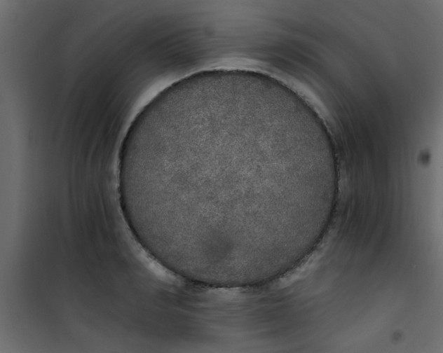 X0000101120990200807171956