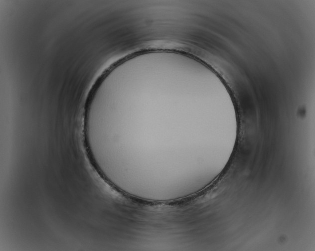 X0000101120992200807171955