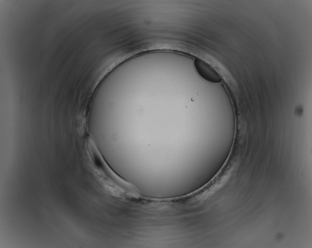X0000101120993200807171955