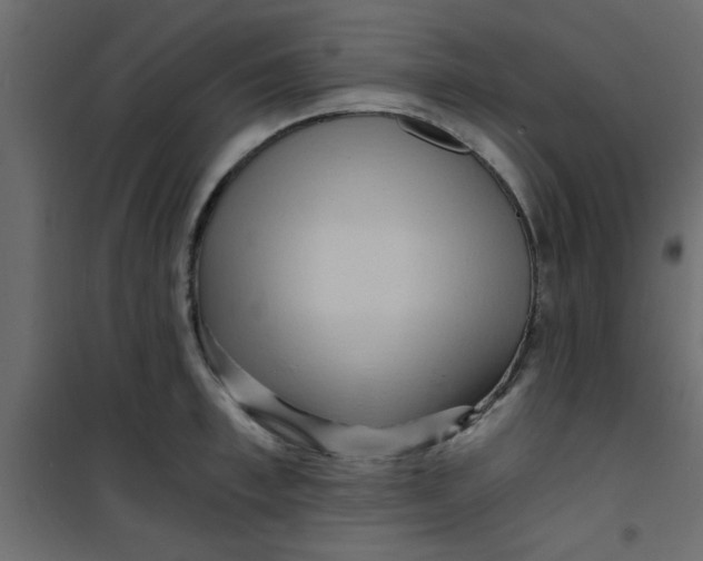 X0000101120997200807171955