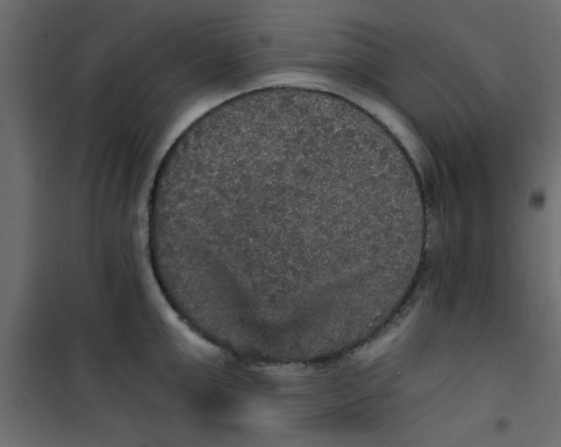 X0000101120999200807171955
