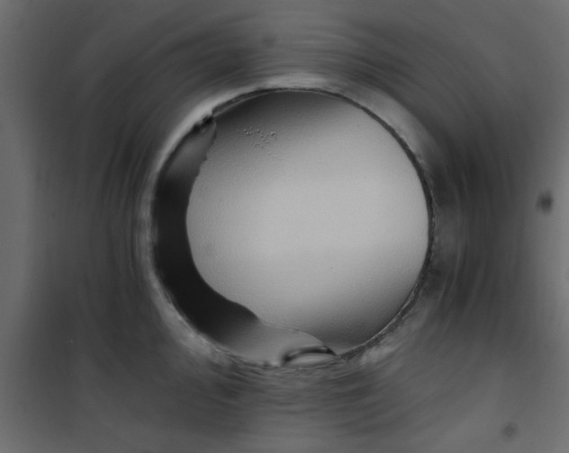X0000101121000200807171955