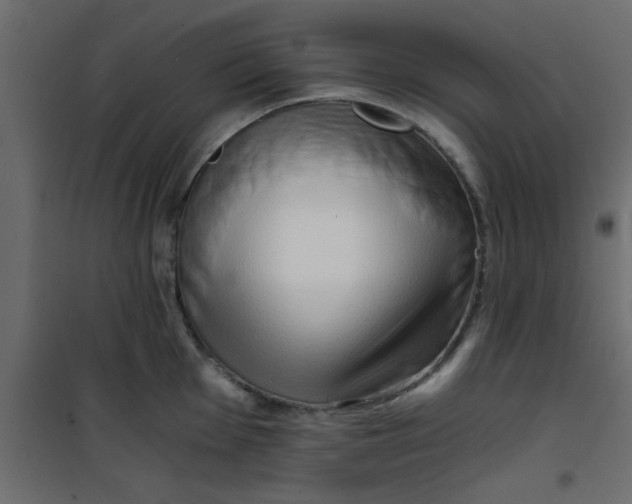 X0000101121001200807171955