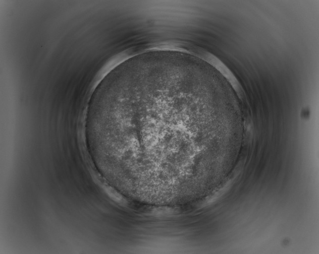 X0000101121002200807171955