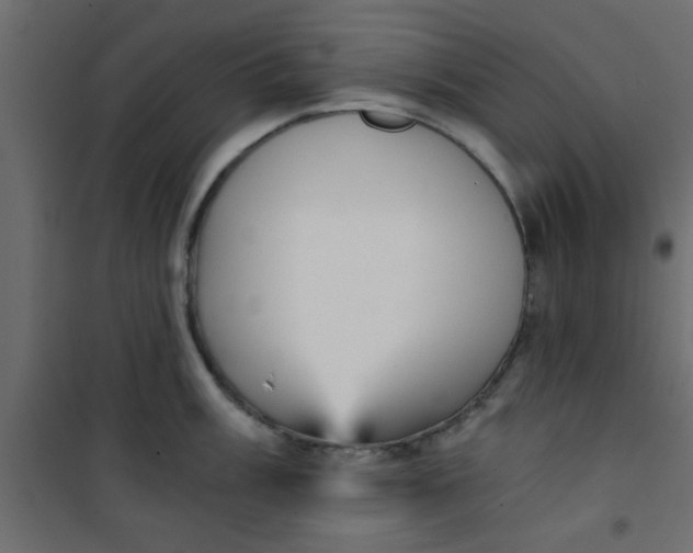 X0000101121003200807171955