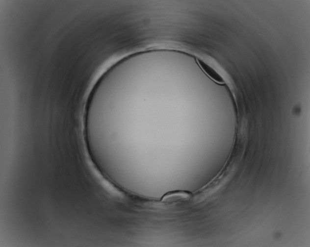 X0000101121005200807171955