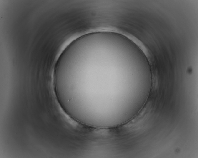 X0000101121006200807171955