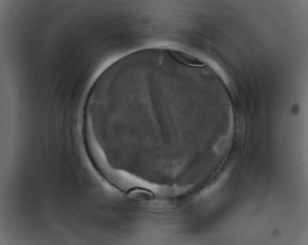 X0000101121007200807171955