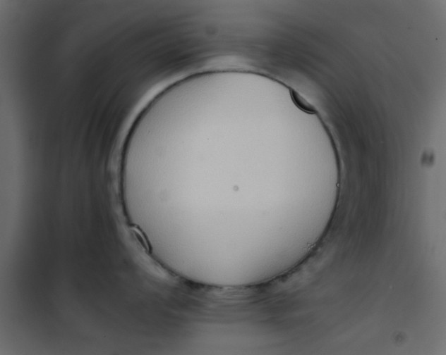 X0000101121008200807171955