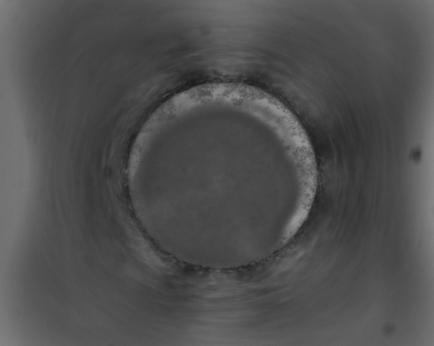 X0000101121009200807171955