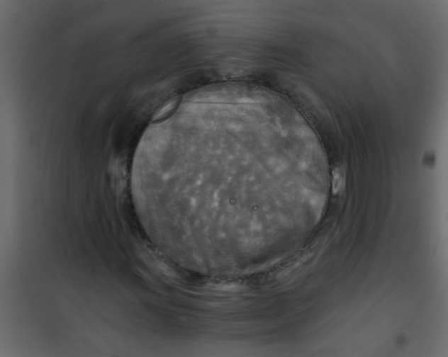 X0000101121011200807171955
