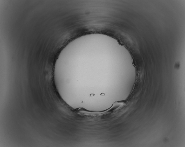 X0000101121012200807171955