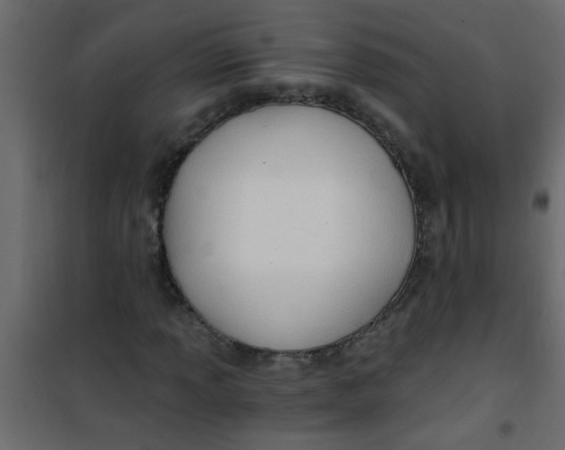 X0000101121013200807171955