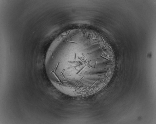 X0000101121014200807171955