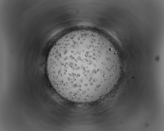 X0000101121015200807171955