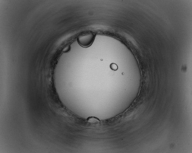 X0000101121016200807171955