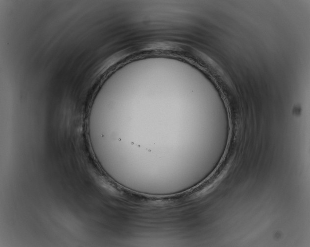 X0000101121017200807171955