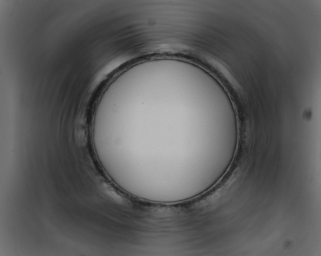 X0000101121018200807171955
