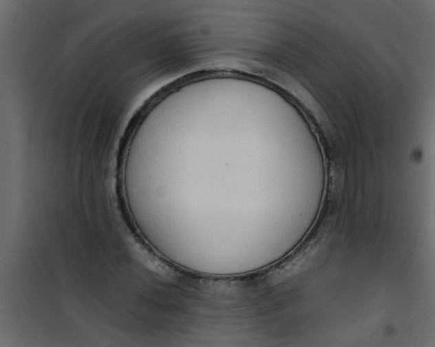X0000101121020200807171955