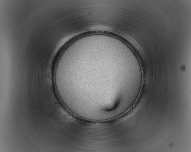 X0000101121022200807171955