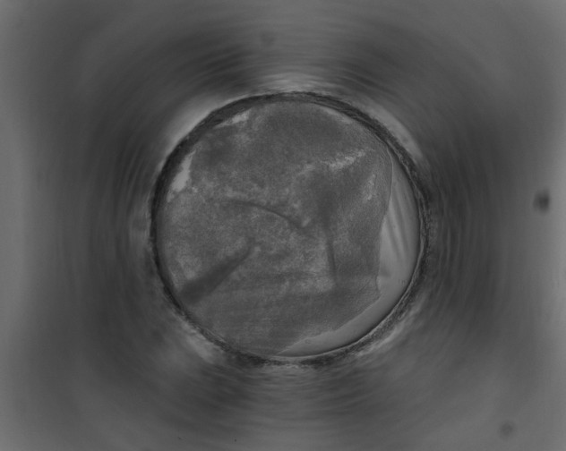 X0000101121023200807171955