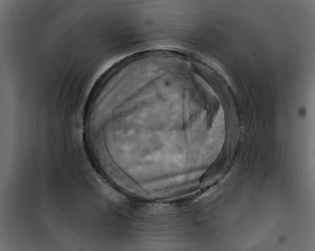 X0000101121024200807171955
