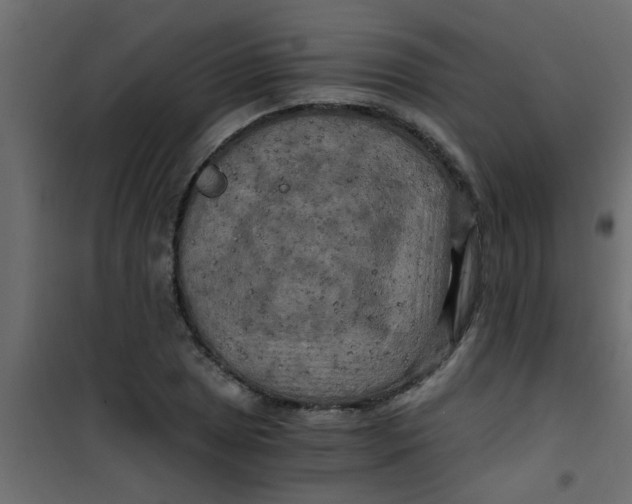X0000101121025200807171955
