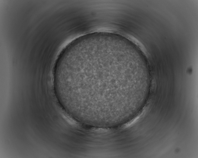 X0000101121027200807171955