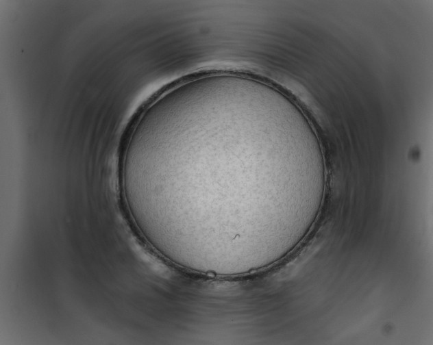 X0000101121030200807171955