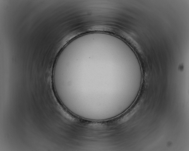 X0000101121033200807171955