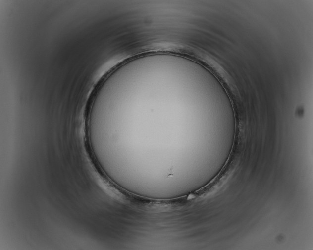 X0000101121034200807171955