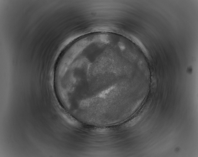X0000101121035200807171955