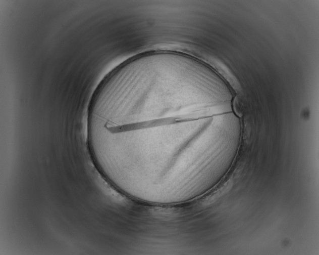 X0000101121036200807171955