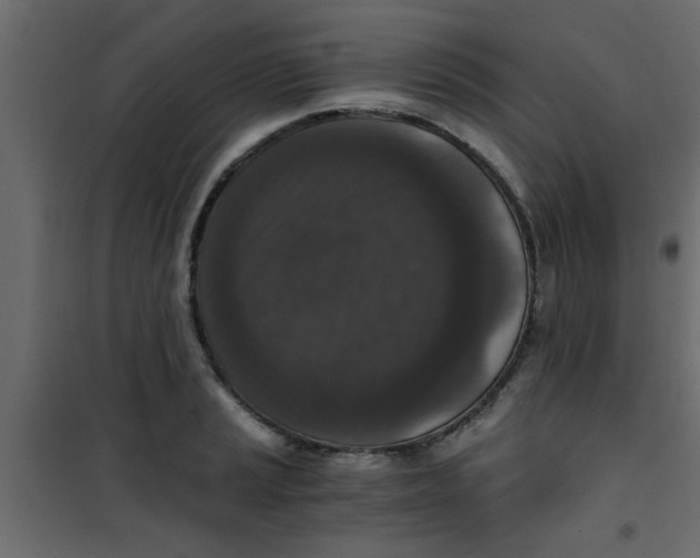 X0000101121037200807171955