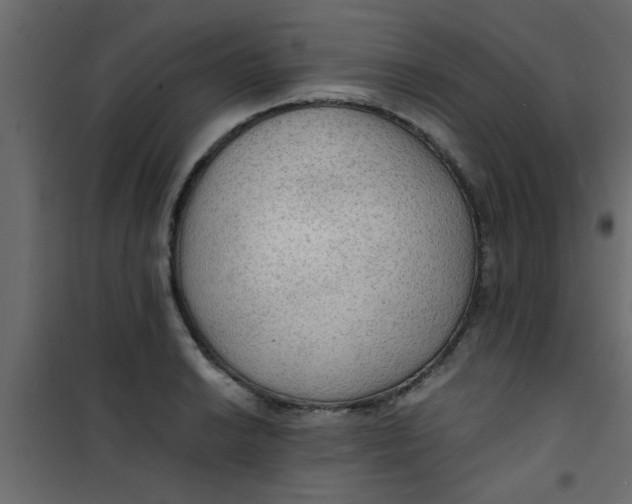 X0000101121038200807171955