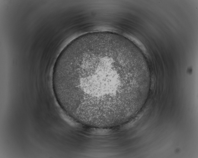 X0000101121039200807171955