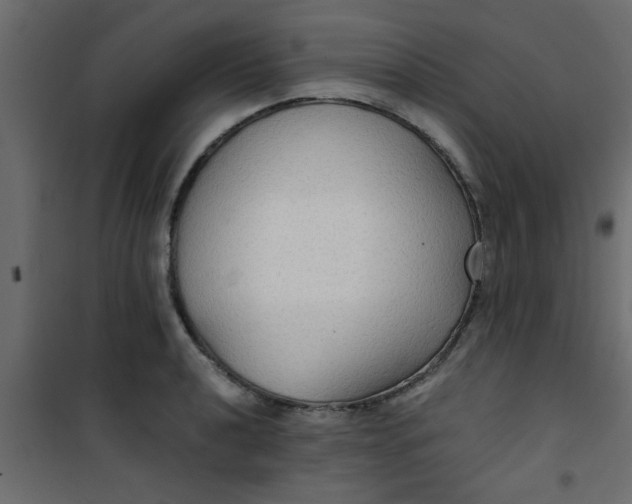 X0000101121040200807171955