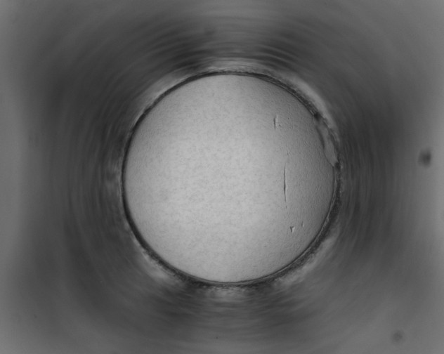 X0000101121041200807171955