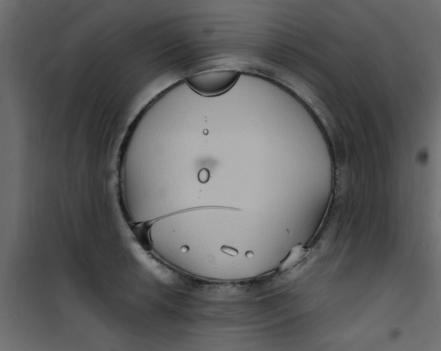X0000101121042200807171955
