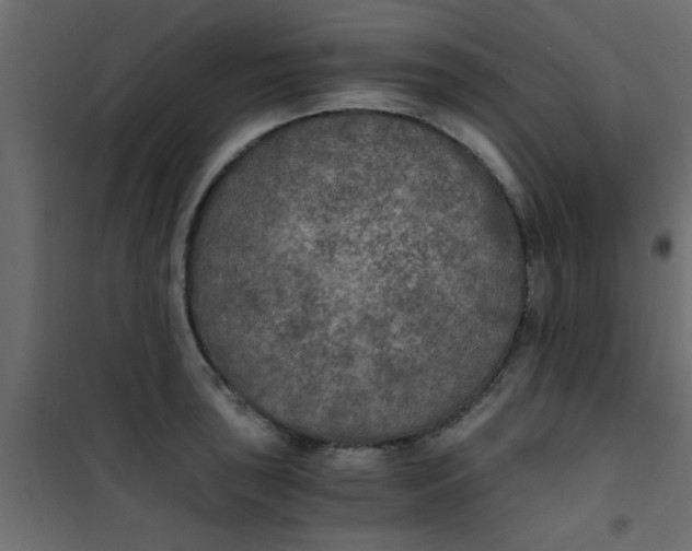 X0000101121043200807171955