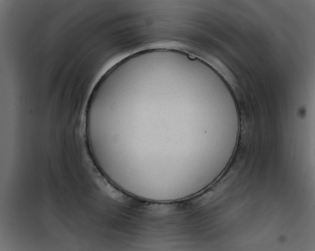X0000101121044200807171955