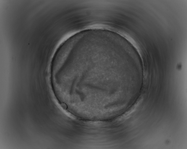 X0000101121045200807171955