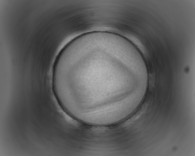 X0000101121046200807171955