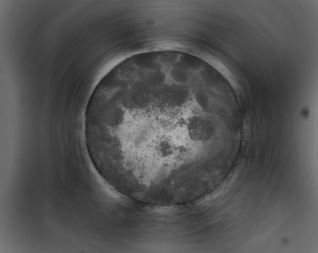 X0000101121047200807171955