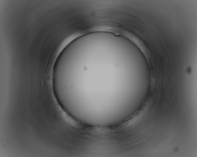 X0000101121050200807171955