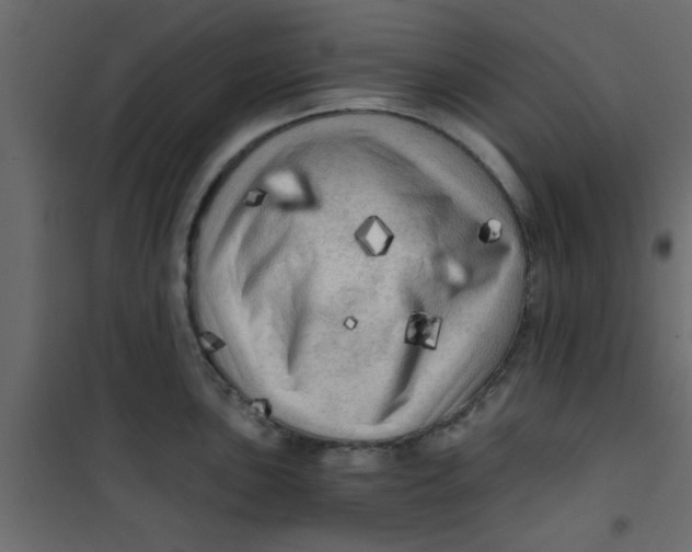 X0000101121051200807171955