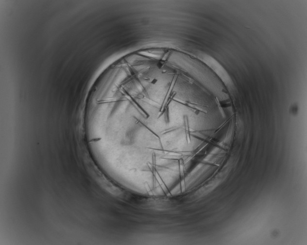 X0000101121052200807171955